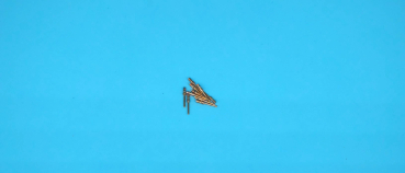 10 Stück male Pins für SUD-D Stecker